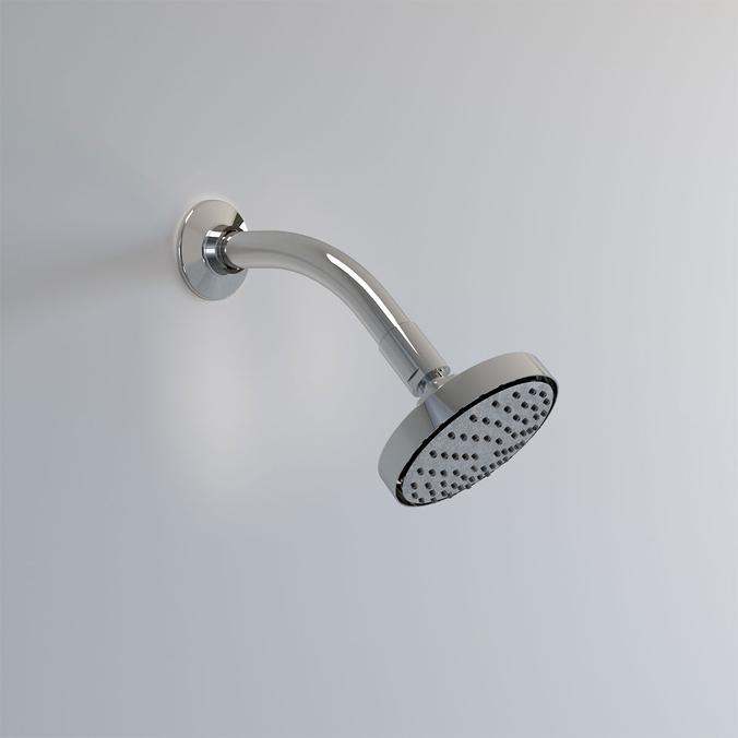 Explora Shower Head with Arm