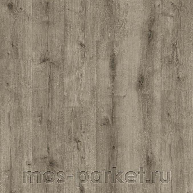 Haro Flooring: Oak Calla Grey 8mm Daily Edition