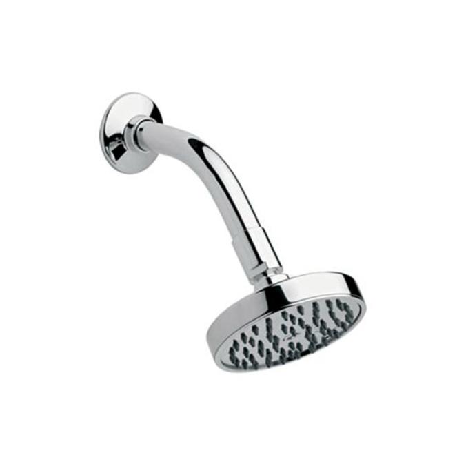Explora Shower Head with arm