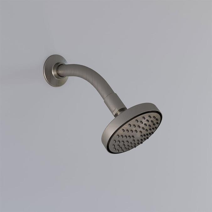 Explora Shower Head with arm